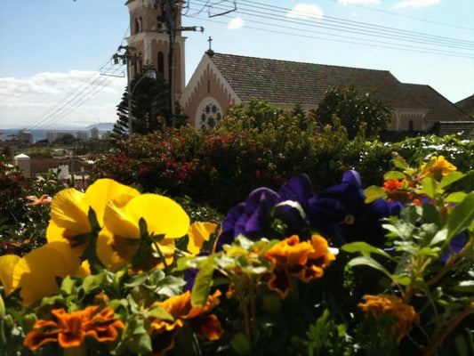 Cheviot Place Guest House Green Point Cape Town Western Cape South Africa Flower, Plant, Nature, Window, Architecture, Church, Building, Religion