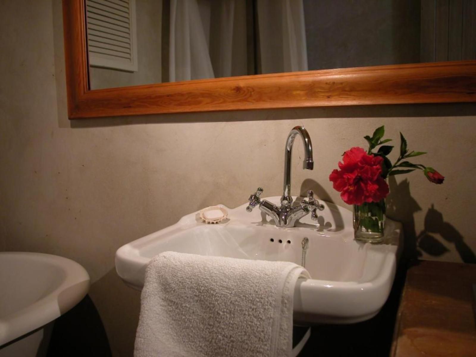 Cheviot Place Guest House Green Point Cape Town Western Cape South Africa Bathroom