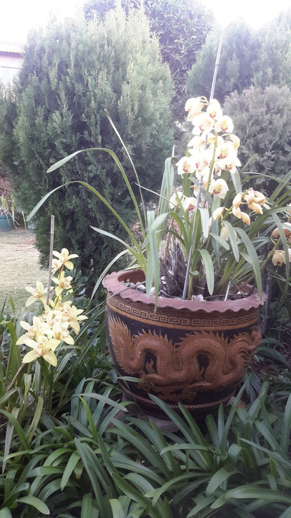 Chez Esme Guest House Kloofendal Johannesburg Gauteng South Africa Flower, Plant, Nature, Garden