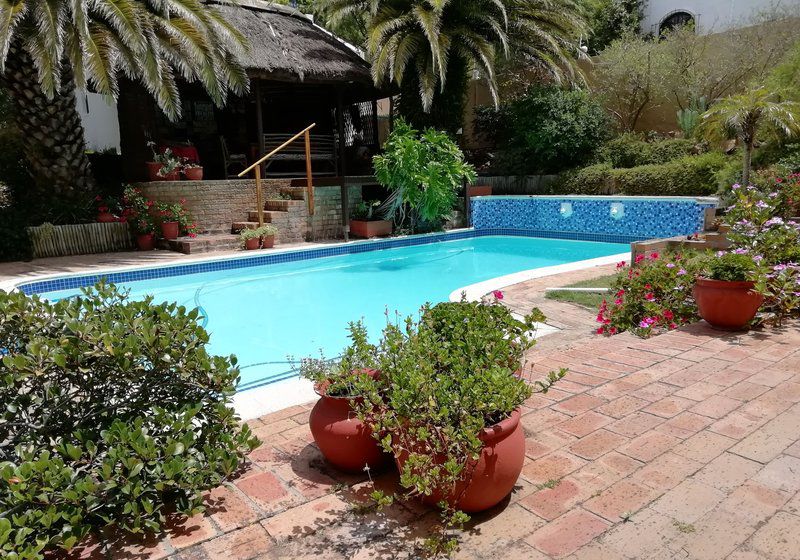 Chez Victor Hout Bay Cape Town Western Cape South Africa Palm Tree, Plant, Nature, Wood, Garden, Swimming Pool