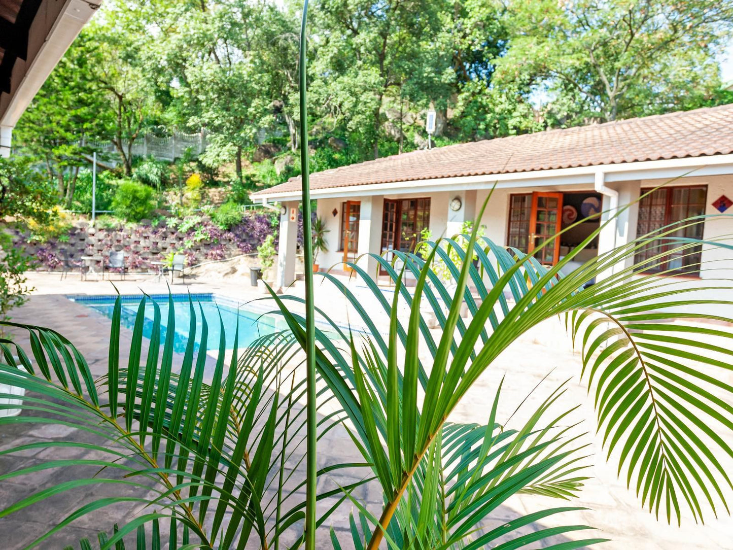 Chez Vincent Guest House Nelspruit Mpumalanga South Africa Palm Tree, Plant, Nature, Wood