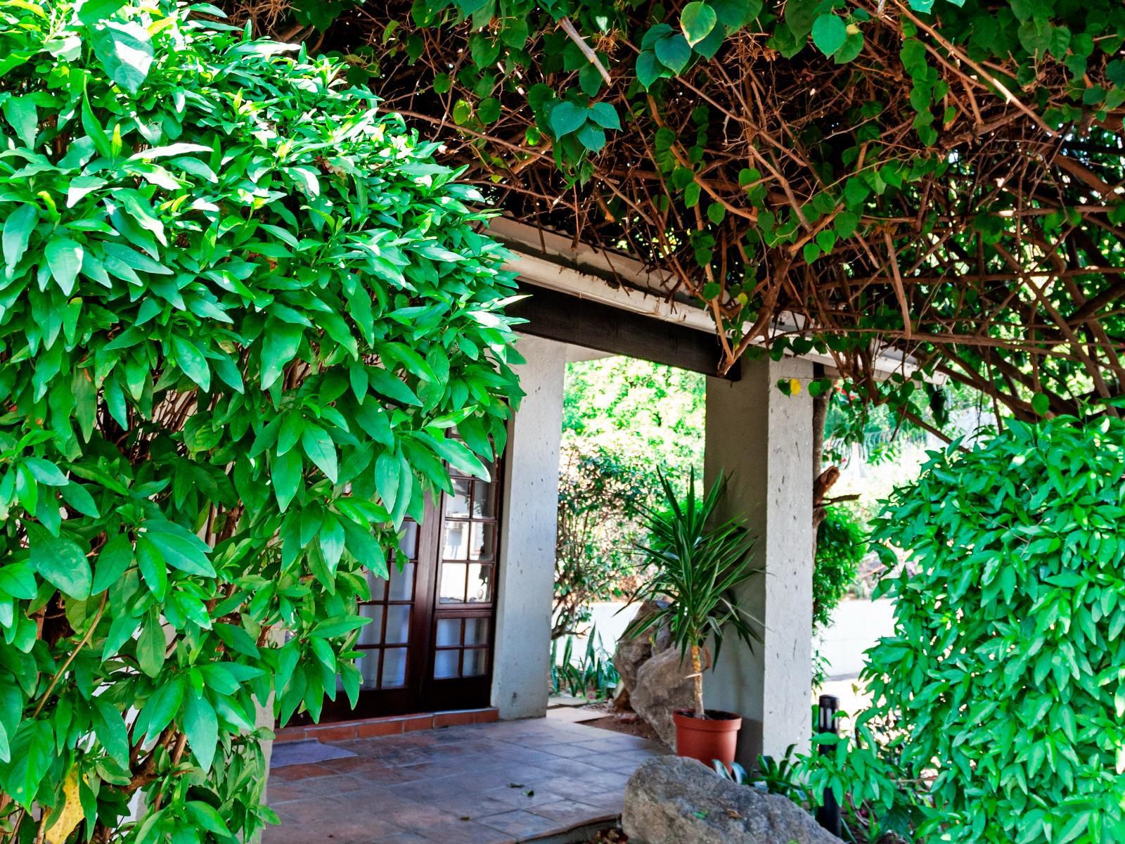 Chez Vincent Guest House Nelspruit Mpumalanga South Africa Plant, Nature, Garden