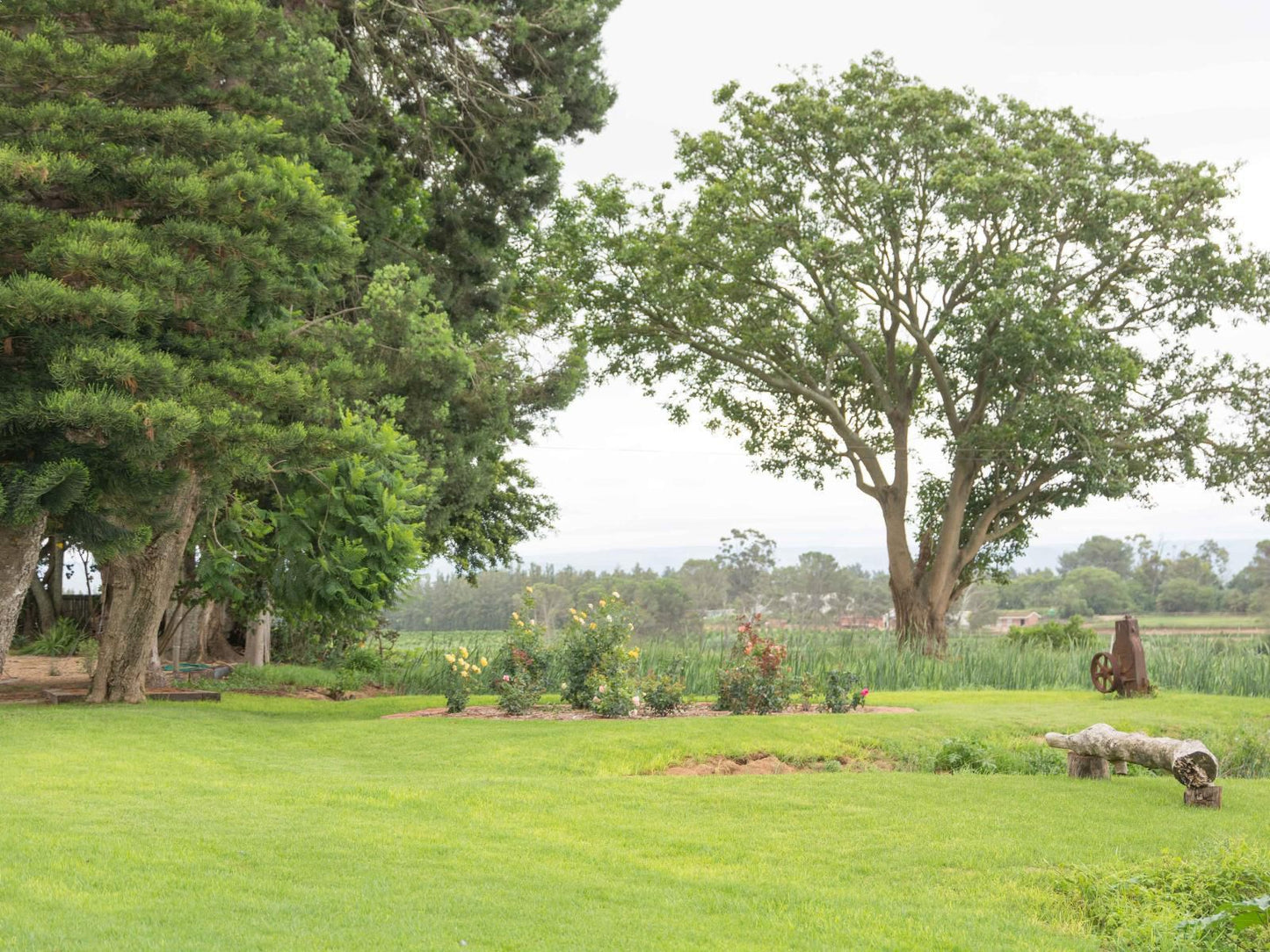 Chicane Bed And Breakfast Sunland Eastern Cape South Africa Plant, Nature, Tree, Wood, Garden