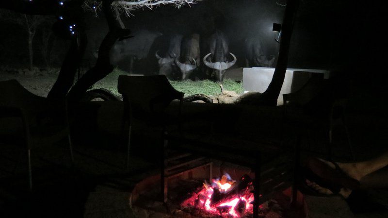 Chill N Biki Lodge Mabalingwe Mabalingwe Nature Reserve Bela Bela Warmbaths Limpopo Province South Africa Dark, Fire, Nature, Fireplace