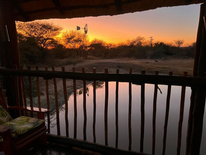 Chinaka Game Lodge, Cactus, Plant, Nature, Desert, Sand, Framing