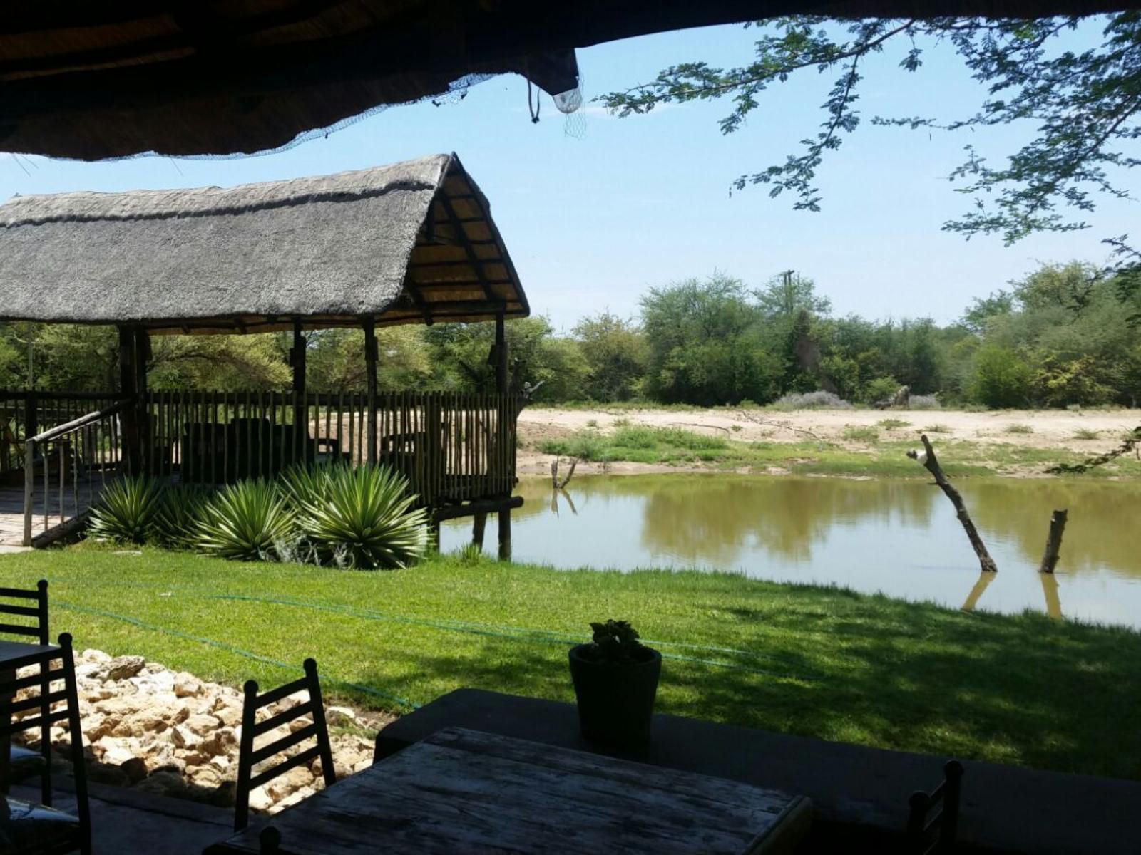 Chinaka Lodge Vivo Limpopo Province South Africa Complementary Colors