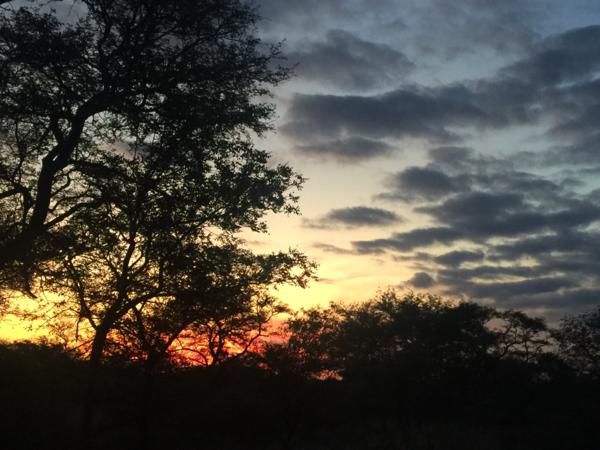 Chinaka Lodge Vivo Limpopo Province South Africa Silhouette, Sky, Nature, Clouds, Framing, Sunset