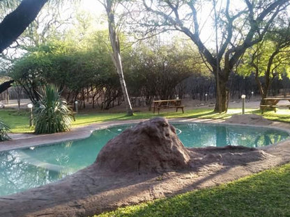 Chinaka Lodge Vivo Limpopo Province South Africa Palm Tree, Plant, Nature, Wood, Garden, Swimming Pool