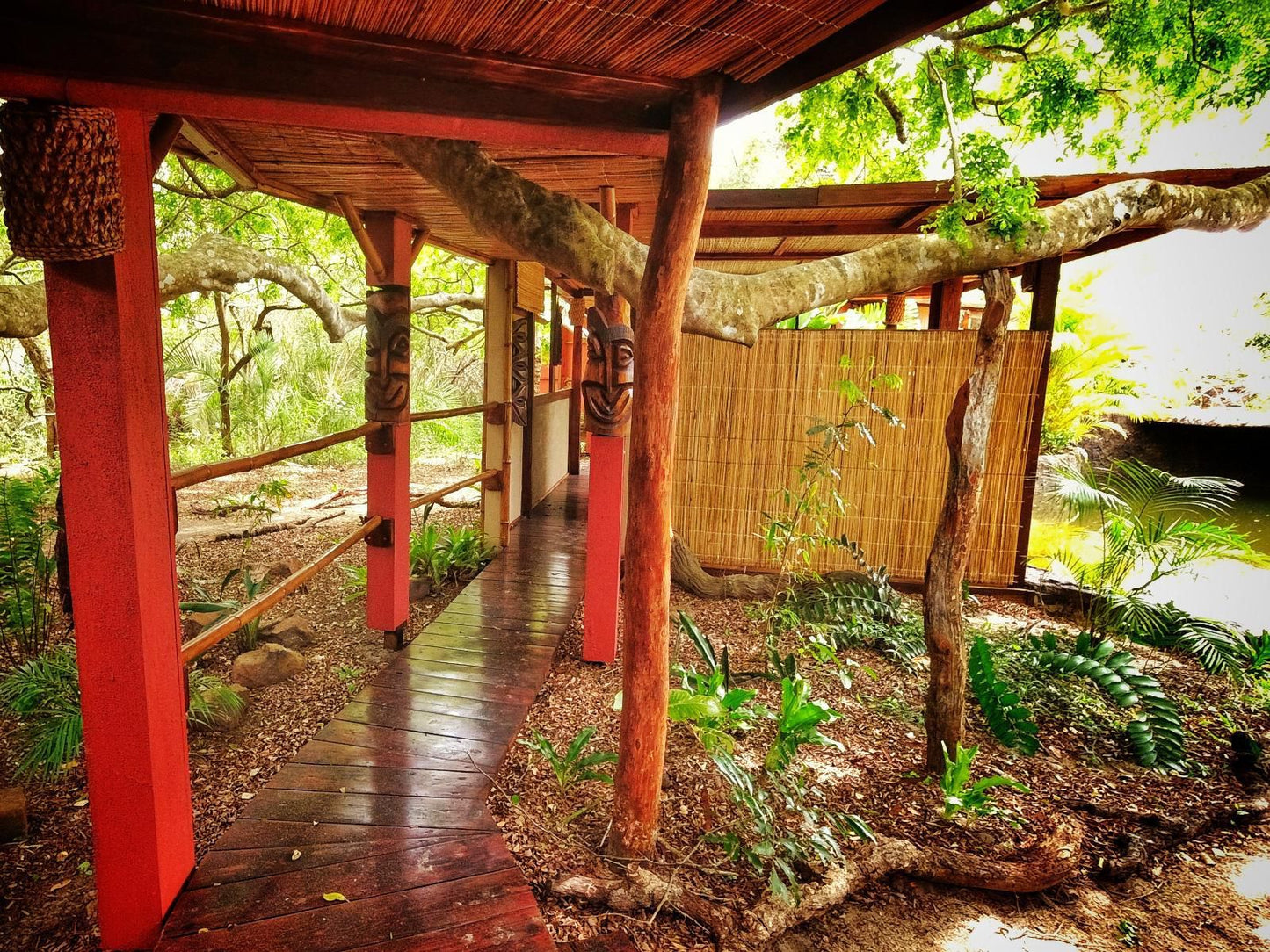 Chinderera Eco Lodge, Colorful, Tree, Plant, Nature, Wood