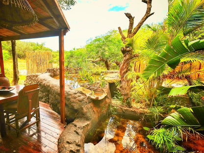 Chinderera Eco Lodge, Colorful, Palm Tree, Plant, Nature, Wood