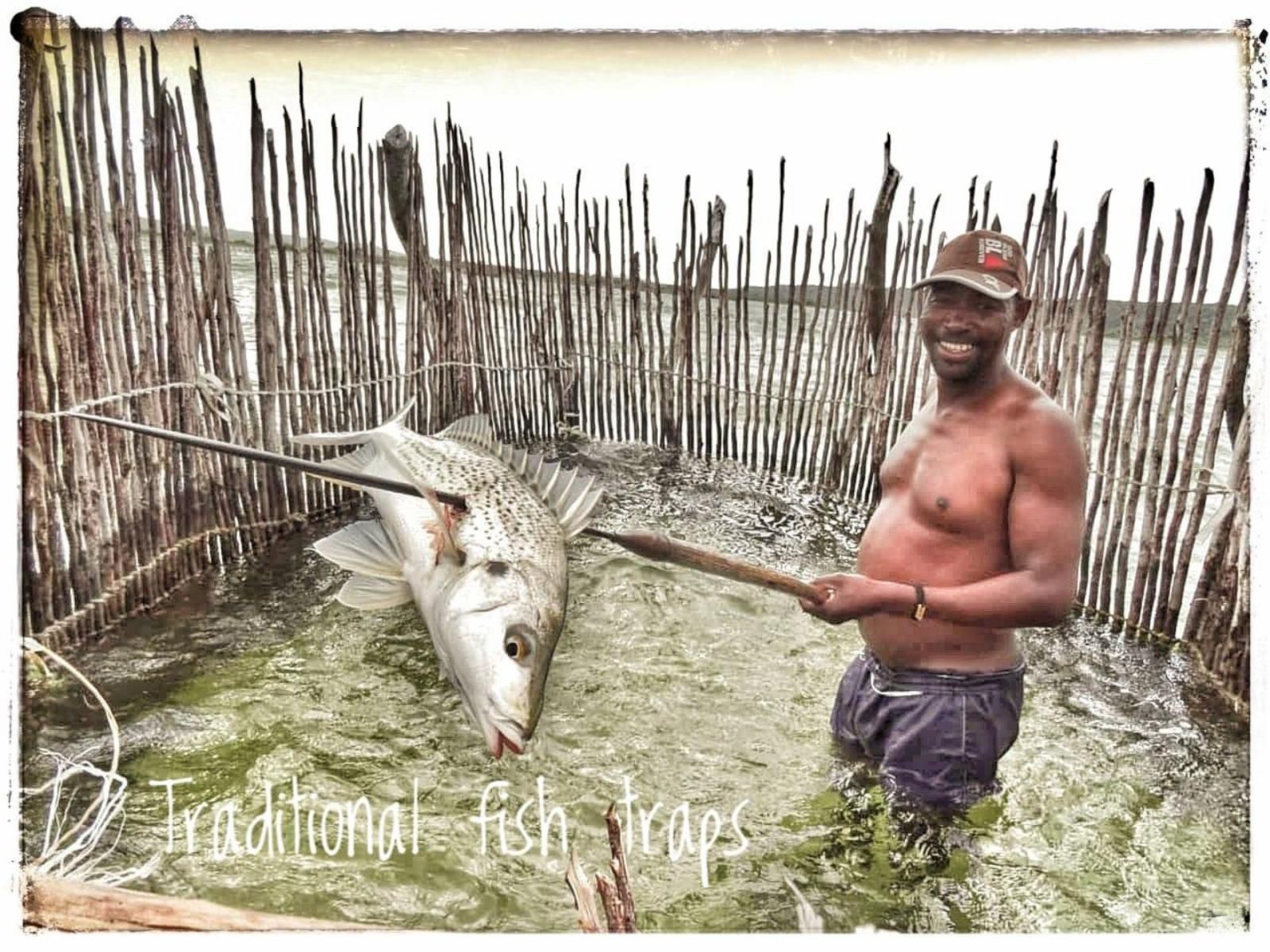 Chinderera Eco Lodge, Lualaba Suite, Face, Person, One Face, Fish, Marine Animal, Animal, Frontal Face, Male, Adult, Eyes Closed, Smile, Beard