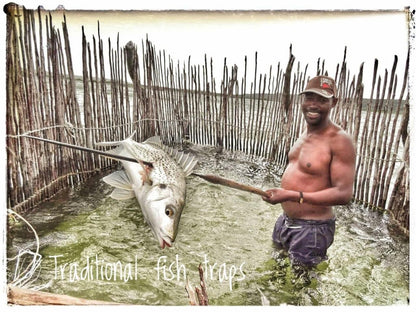 Chinderera Eco Lodge, Lualaba Suite, Face, Person, One Face, Fish, Marine Animal, Animal, Frontal Face, Male, Adult, Eyes Closed, Smile, Beard