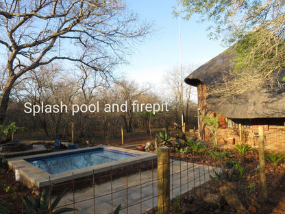 Chip N Debs Marloth Park Mpumalanga South Africa Swimming Pool