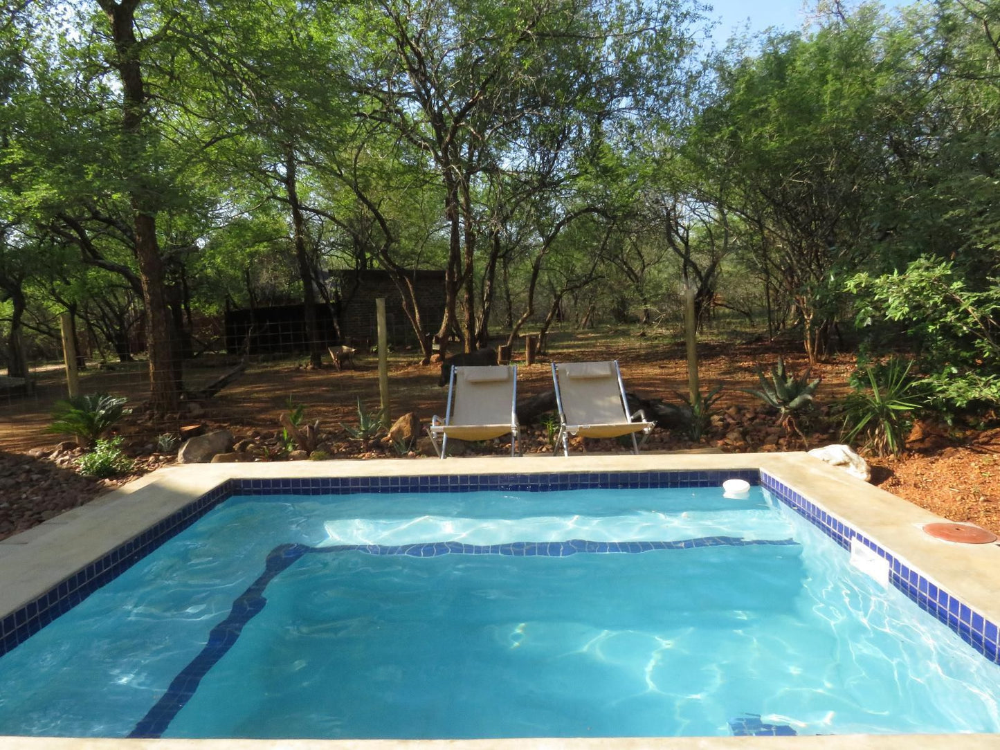 Chip N Debs Marloth Park Mpumalanga South Africa Complementary Colors, Swimming Pool