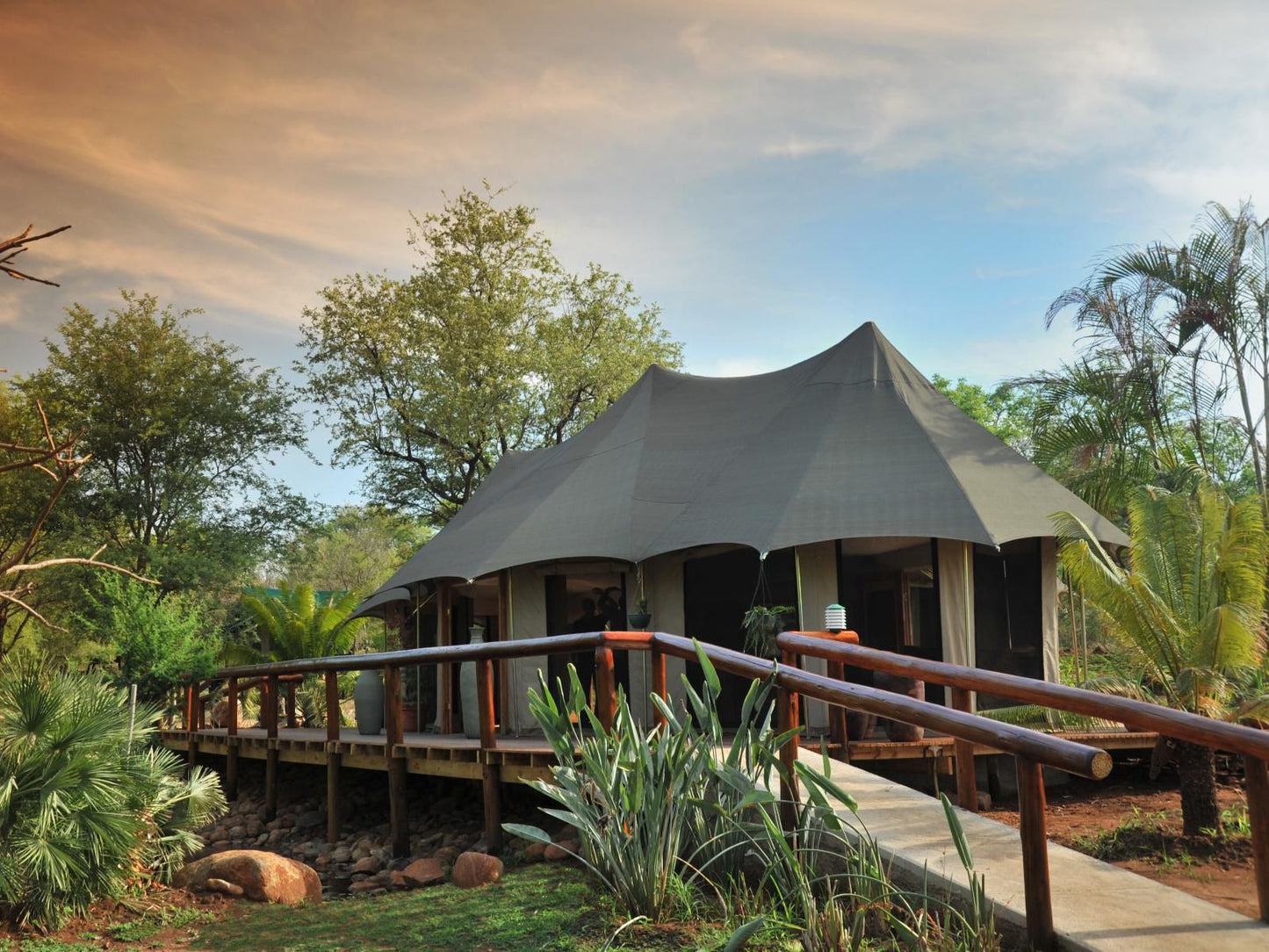 Chisomo Safari Camp Karongwe Private Game Reserve Limpopo Province South Africa 