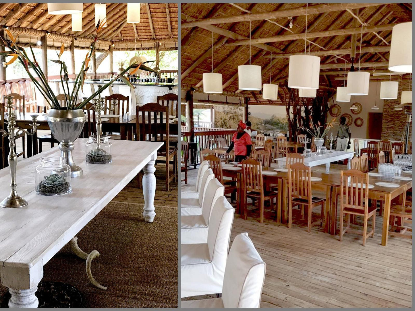 Chisomo Safari Camp Karongwe Private Game Reserve Limpopo Province South Africa Place Cover, Food, Restaurant, Bar