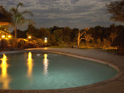 Chisomo Safari Camp Karongwe Private Game Reserve Limpopo Province South Africa Palm Tree, Plant, Nature, Wood, Swimming Pool