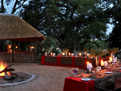 Chisomo Safari Camp Karongwe Private Game Reserve Limpopo Province South Africa 