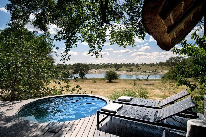 Chitwa Chitwa Private Game Reserve Sabi Sand Sabi Sand Reserve Mpumalanga South Africa Swimming Pool