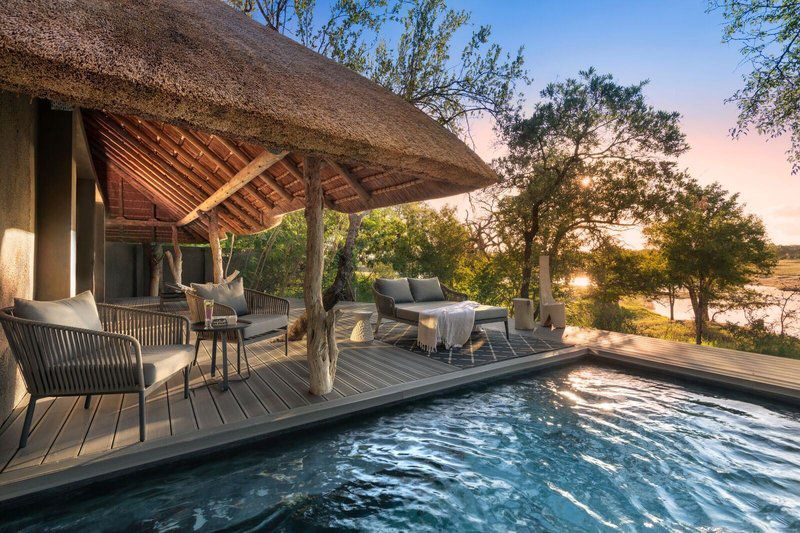 Chitwa Chitwa Private Game Reserve Sabi Sand Sabi Sand Reserve Mpumalanga South Africa Swimming Pool