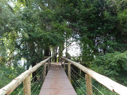 Chobe River Cottages, Tree, Plant, Nature, Wood