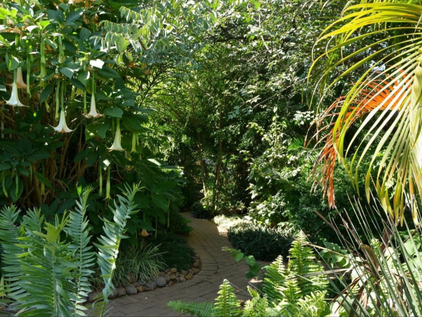 Chobe River Cottages, Plant, Nature, Tree, Wood, Garden