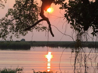 Chobe River Cottages, Sepia Tones, Sky, Nature, Tree, Plant, Wood, Sunset