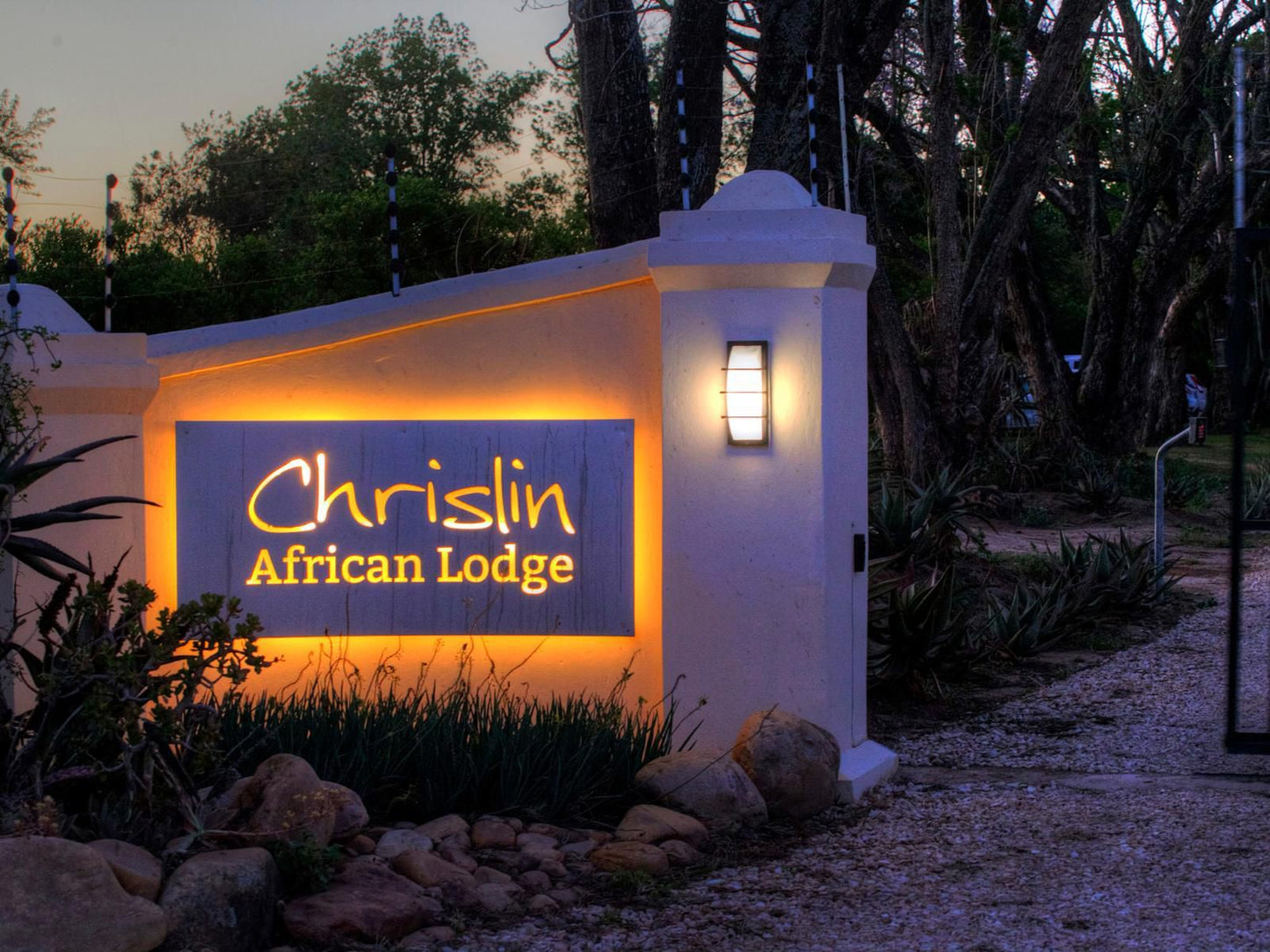 Chrislin African Lodge Addo Village Eastern Cape South Africa Palm Tree, Plant, Nature, Wood