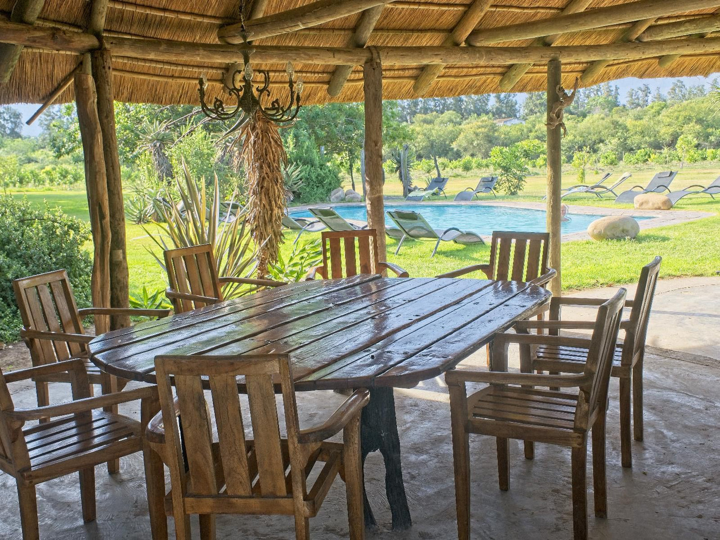 Chrislin African Lodge Addo Village Eastern Cape South Africa 