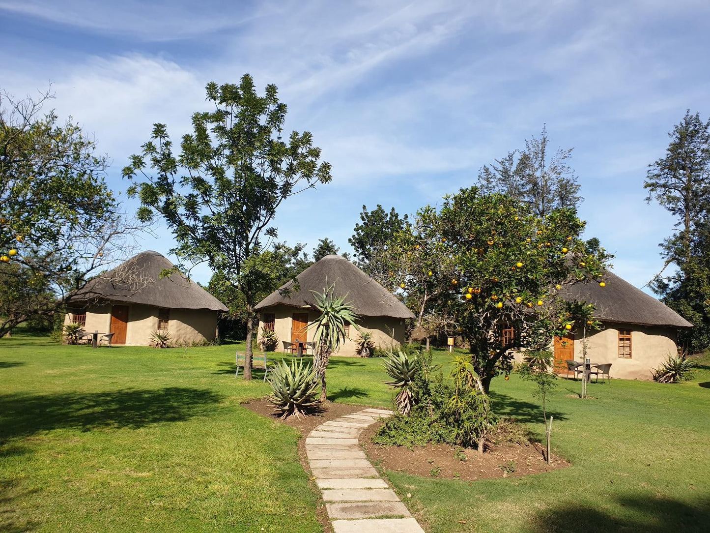 Chrislin African Lodge Addo Village Eastern Cape South Africa Complementary Colors