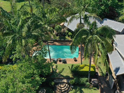 Christie S Inn Tzaneen Limpopo Province South Africa Palm Tree, Plant, Nature, Wood, Swimming Pool