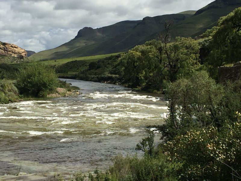 Chrpetali Rhodes Eastern Cape South Africa River, Nature, Waters, Highland