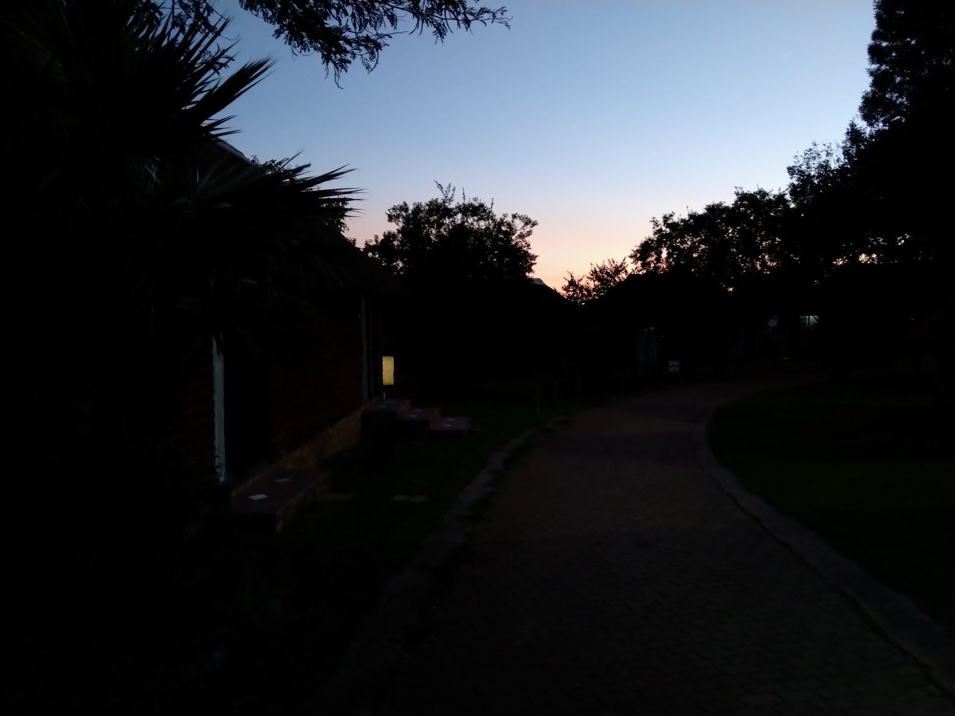 Chukuru Lodge Bronkhorstspruit Gauteng South Africa Palm Tree, Plant, Nature, Wood, Sky