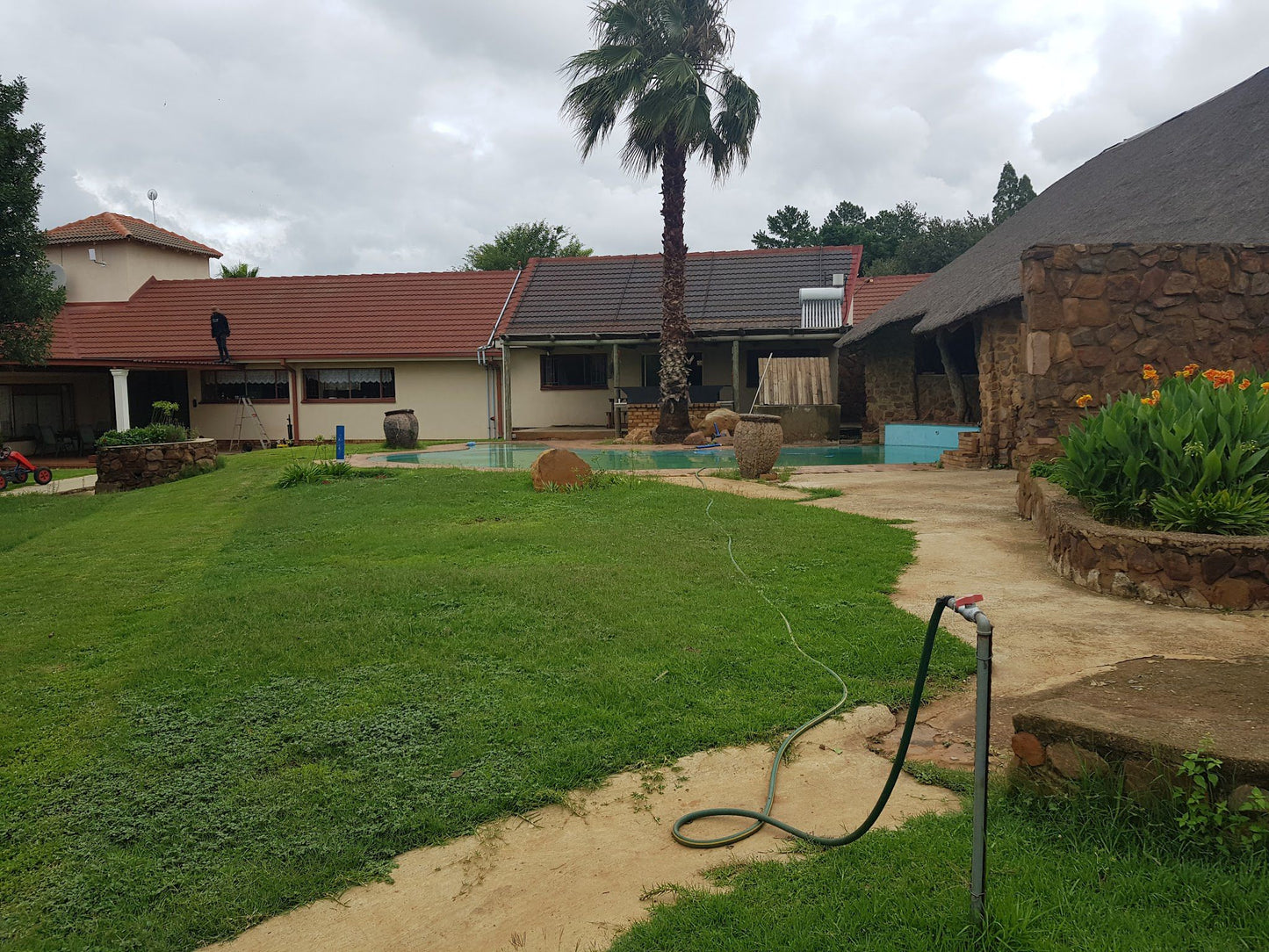 Chukuru Lodge Bronkhorstspruit Gauteng South Africa Palm Tree, Plant, Nature, Wood, Swimming Pool