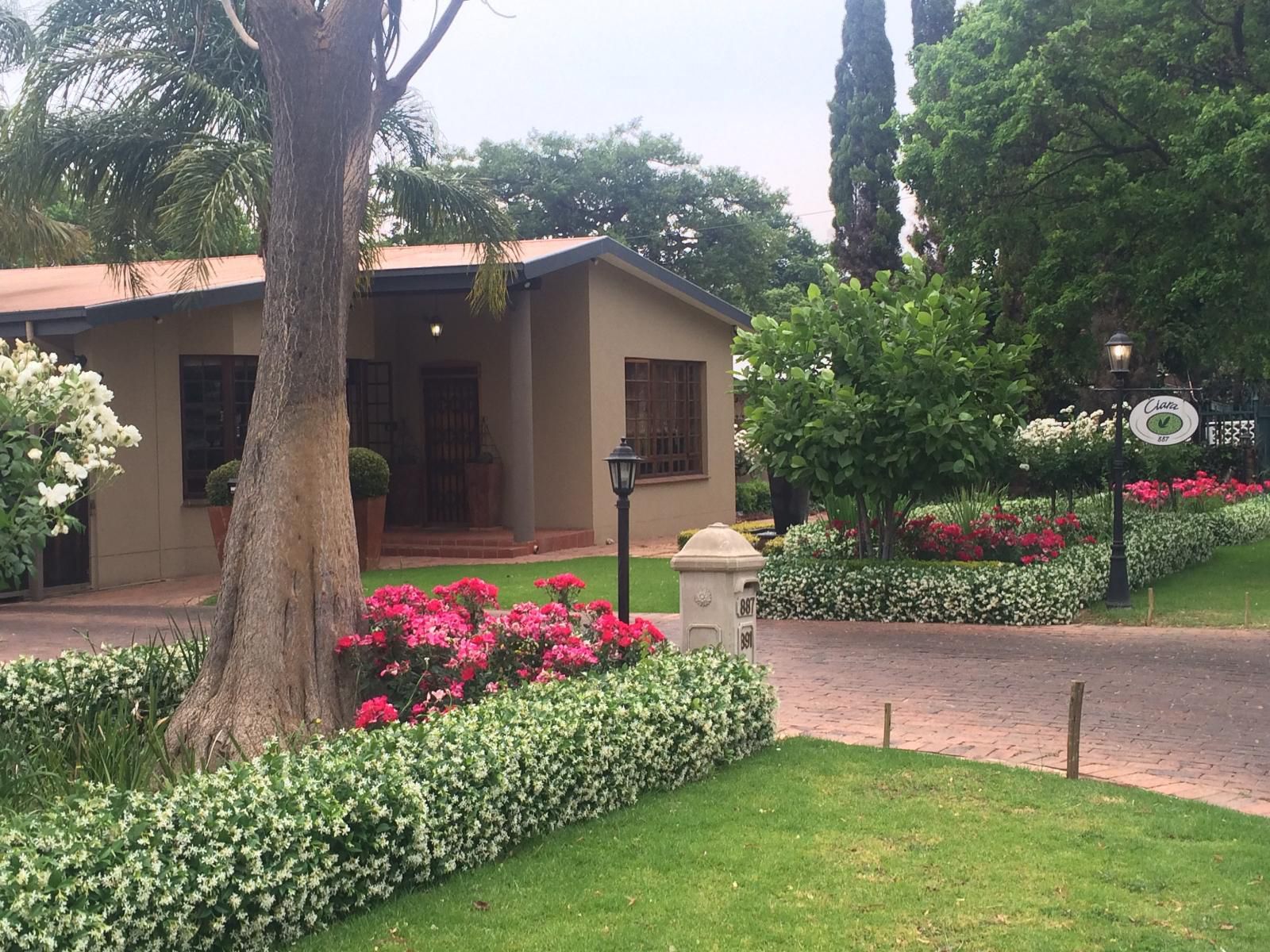 Ciara Lodge Rietfontein Pretoria Tshwane Gauteng South Africa House, Building, Architecture, Palm Tree, Plant, Nature, Wood