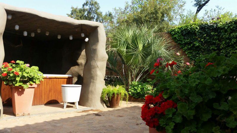 Cielo Guest Farm Swartruggens North West Province South Africa Elephant, Mammal, Animal, Herbivore, Palm Tree, Plant, Nature, Wood, Framing, Garden
