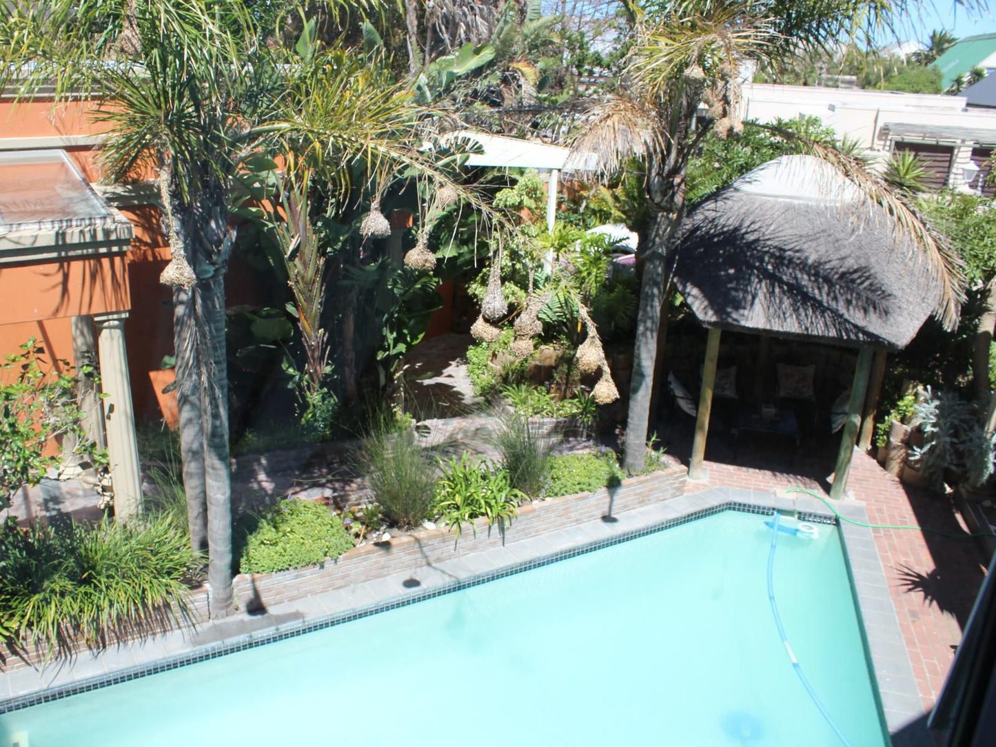 Cinnamon Guesthouse Sunset Beach Cape Town Western Cape South Africa Complementary Colors, Palm Tree, Plant, Nature, Wood, Swimming Pool