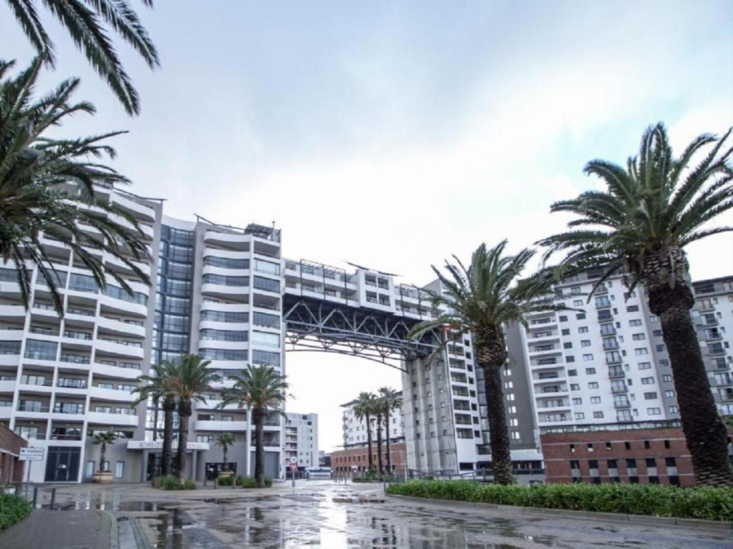 City Stay Apartments Century City Cape Town Western Cape South Africa Palm Tree, Plant, Nature, Wood, Skyscraper, Building, Architecture, City