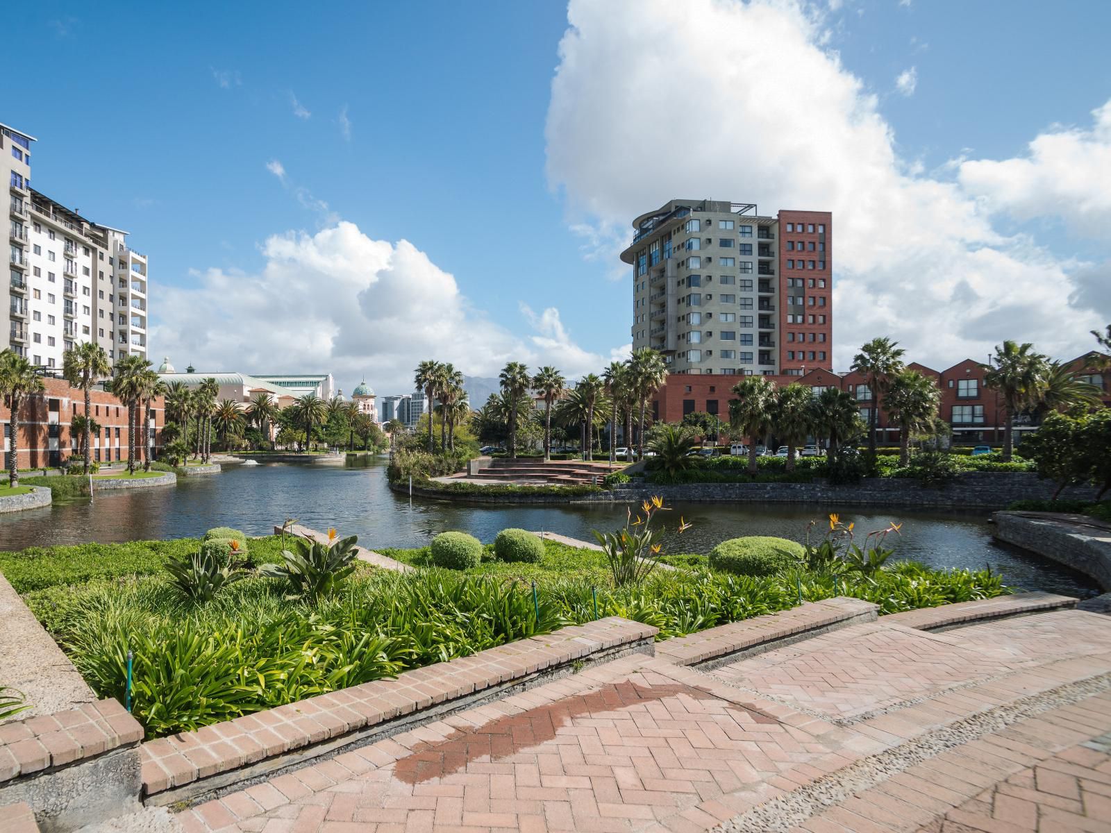 City Stay Apartments Century City Cape Town Western Cape South Africa Complementary Colors, Palm Tree, Plant, Nature, Wood, River, Waters, Skyscraper, Building, Architecture, City