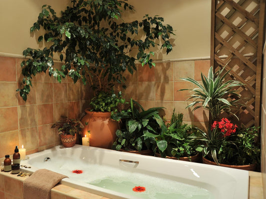 Claires Of Sandton Parkmore Johannesburg Gauteng South Africa Bathroom, Garden, Nature, Plant