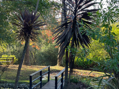 Wilderness Metanoia Wilderness Western Cape South Africa Palm Tree, Plant, Nature, Wood, Tree