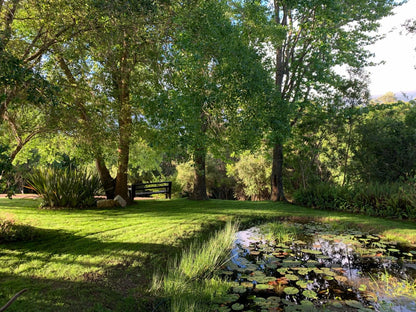 Wilderness Metanoia Wilderness Western Cape South Africa Plant, Nature, Tree, Wood, Garden