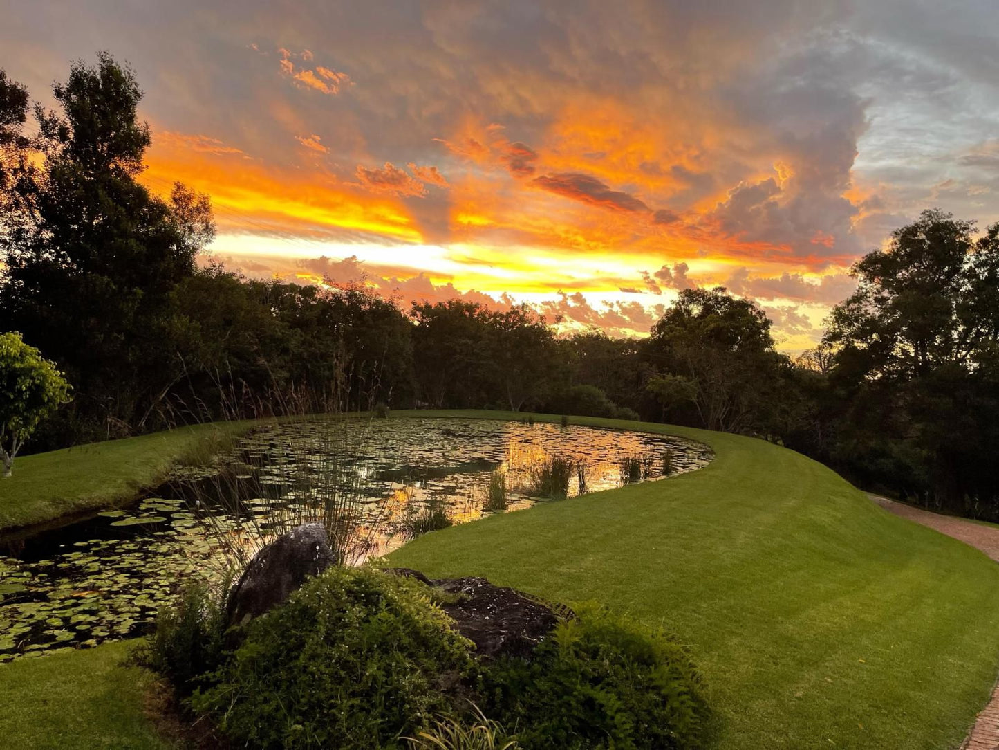 Wilderness Metanoia Wilderness Western Cape South Africa Garden, Nature, Plant, Sunset, Sky