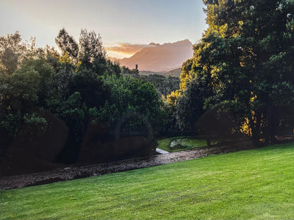 Wilderness Metanoia Wilderness Western Cape South Africa Framing, Garden, Nature, Plant, Highland