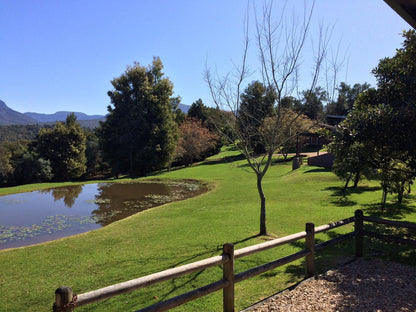 Wilderness Metanoia Wilderness Western Cape South Africa Complementary Colors, Garden, Nature, Plant