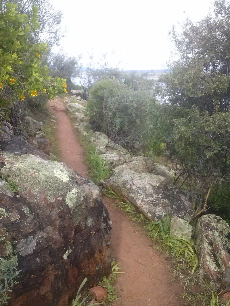 Clanmurray Clanwilliam Western Cape South Africa Cliff, Nature, Forest, Plant, Tree, Wood, Ruin, Architecture