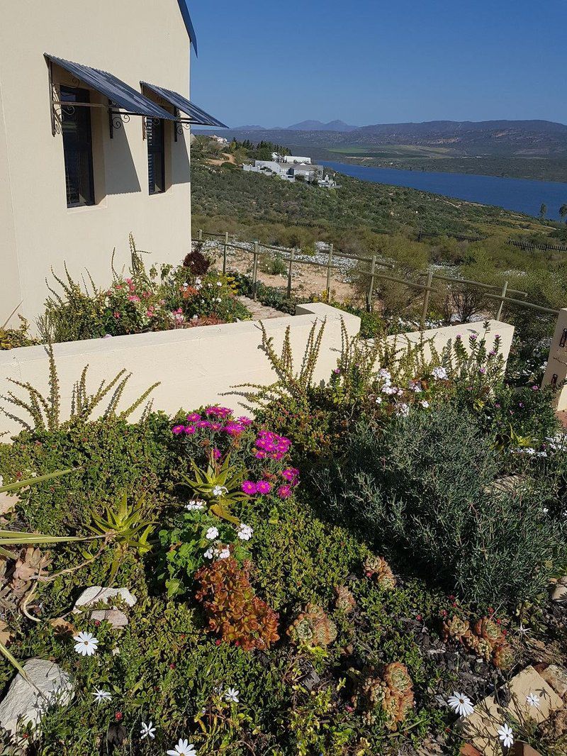 Clanwilliam Hills Flat Clanwilliam Western Cape South Africa Plant, Nature, Garden