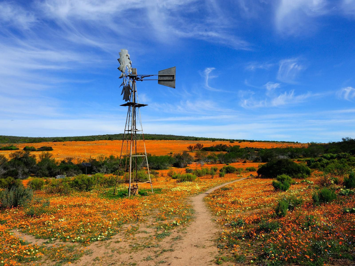 Clanwilliam Hotel By Country Hotels, Colorful