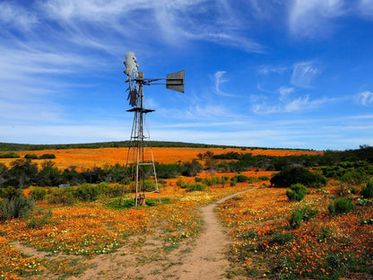 Clanwilliam Hotel By Country Hotels, Colorful