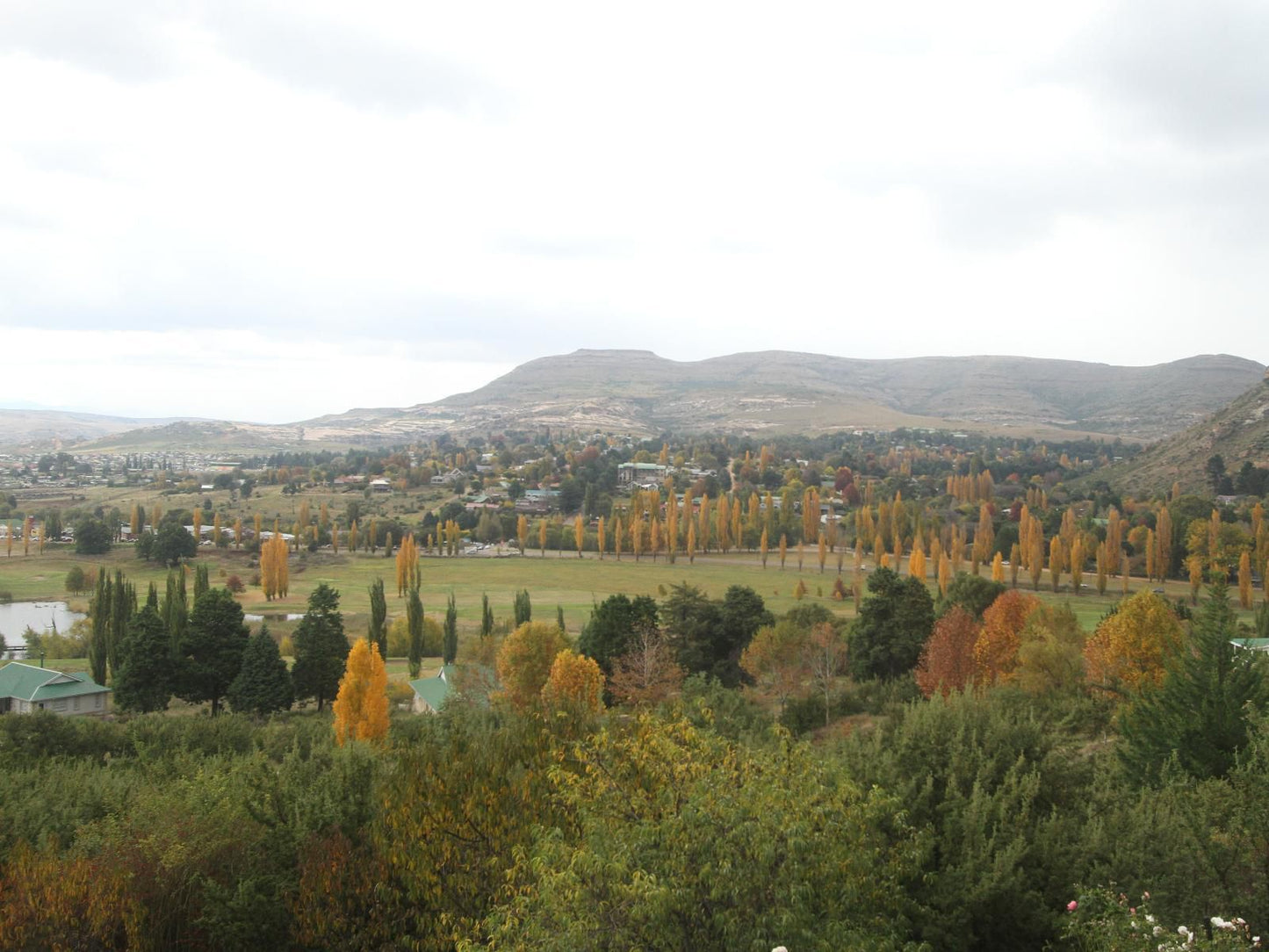 Clarens Golf Villas Clarens Free State South Africa Tree, Plant, Nature, Wood, Autumn